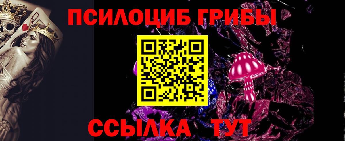 Саянск  Псилоцибиновые грибы Psilocybe  Псилоцибиновые грибы мицелий  Вход с VPN 