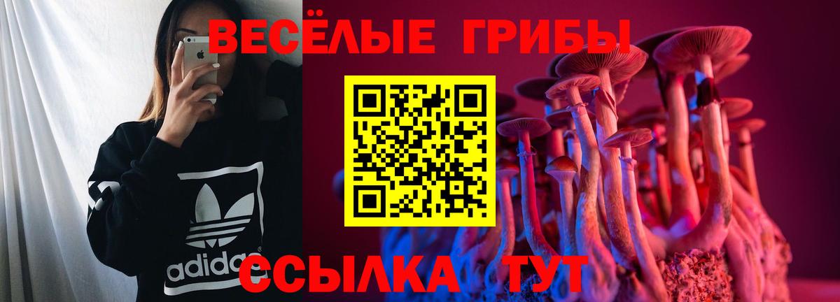 Галлюциногенные грибы Cubensis Саянск